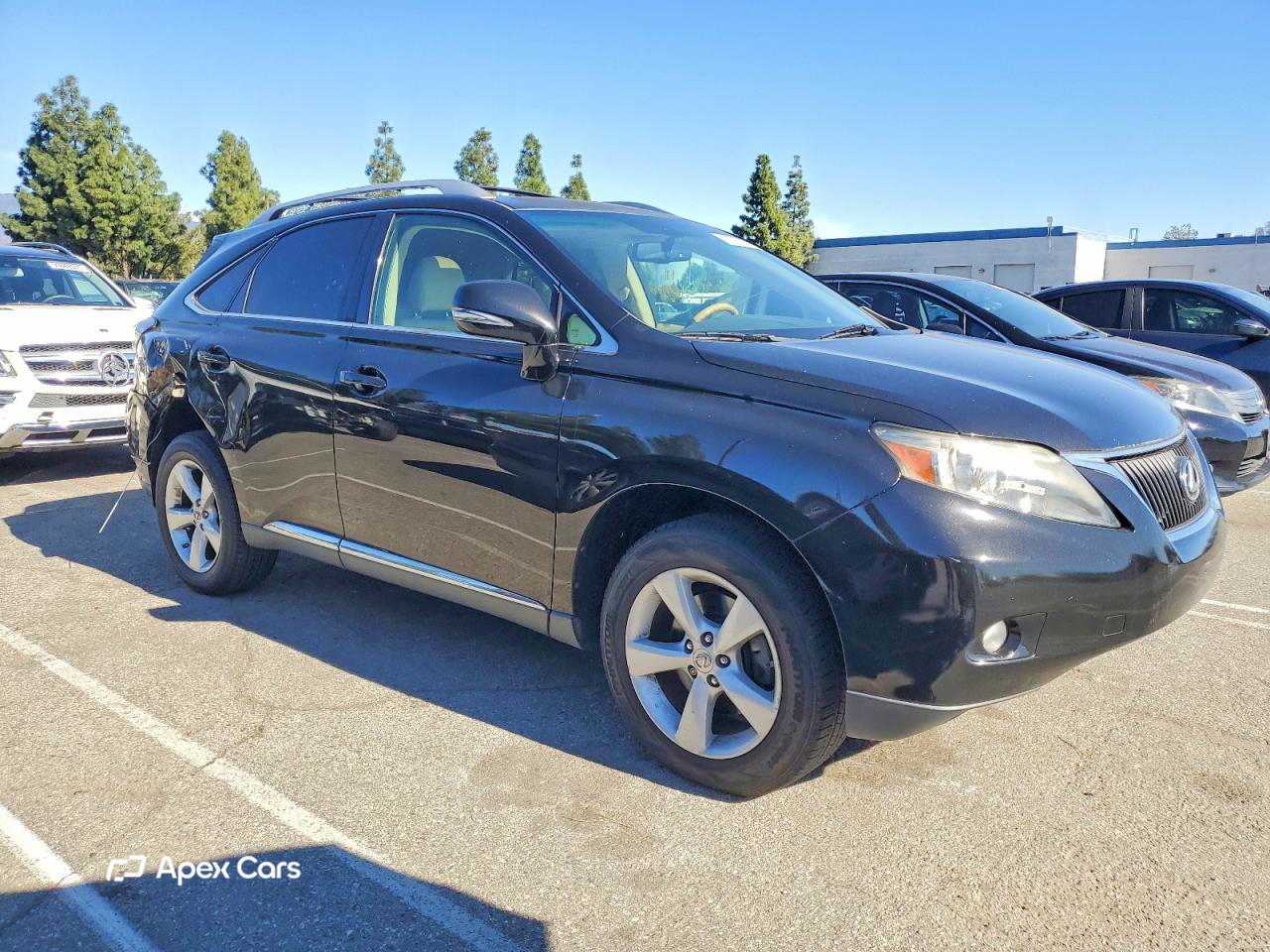 Lexus RX 2011