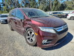 Honda Odyssey 2019