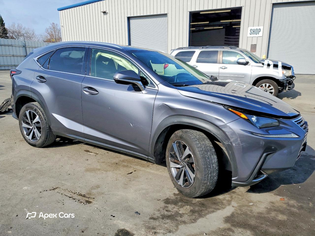 Lexus NX 2021