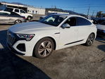 Audi Q8 2024