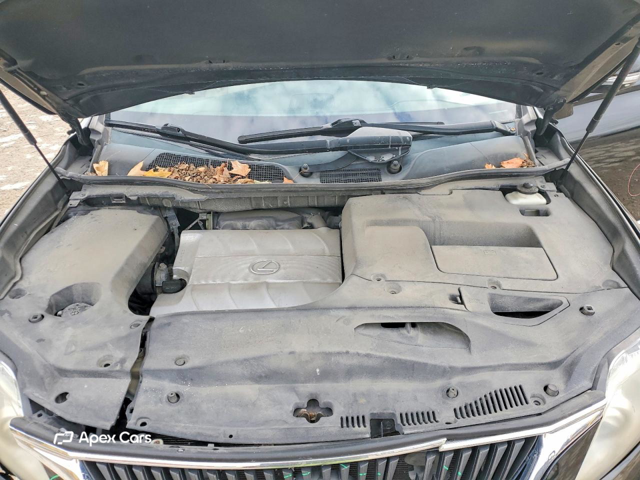 Lexus RX 2010