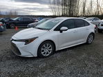 Toyota Corolla 2025