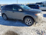 Ford Edge 2013