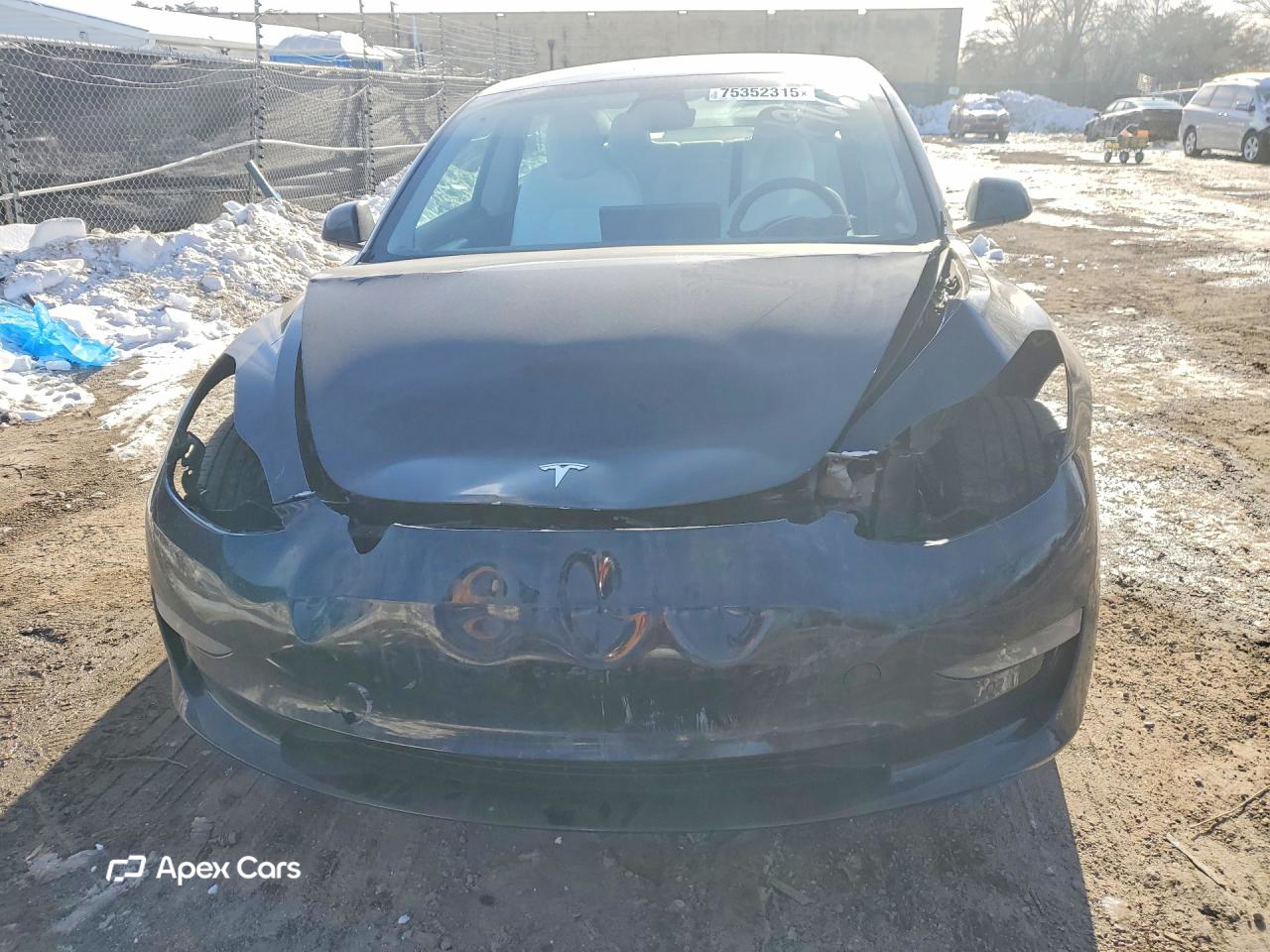 Tesla Model 3 2021