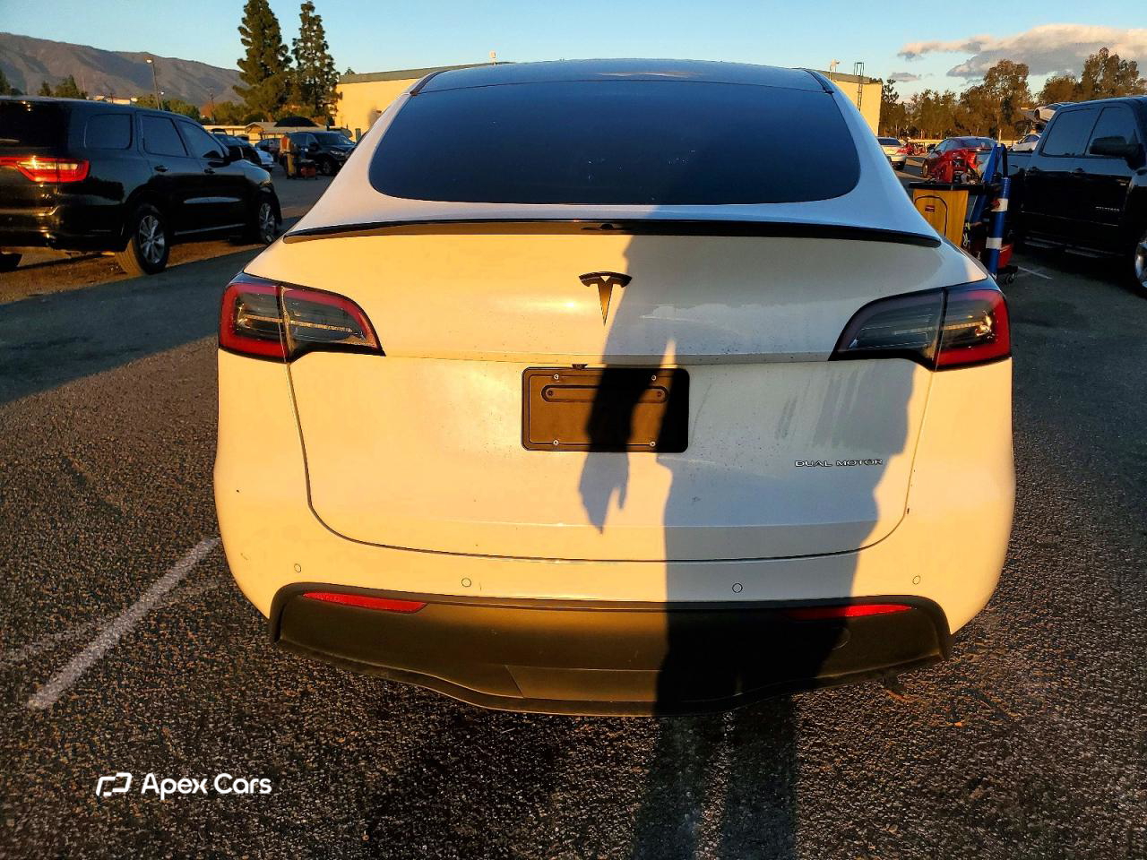 Tesla Model Y 2020
