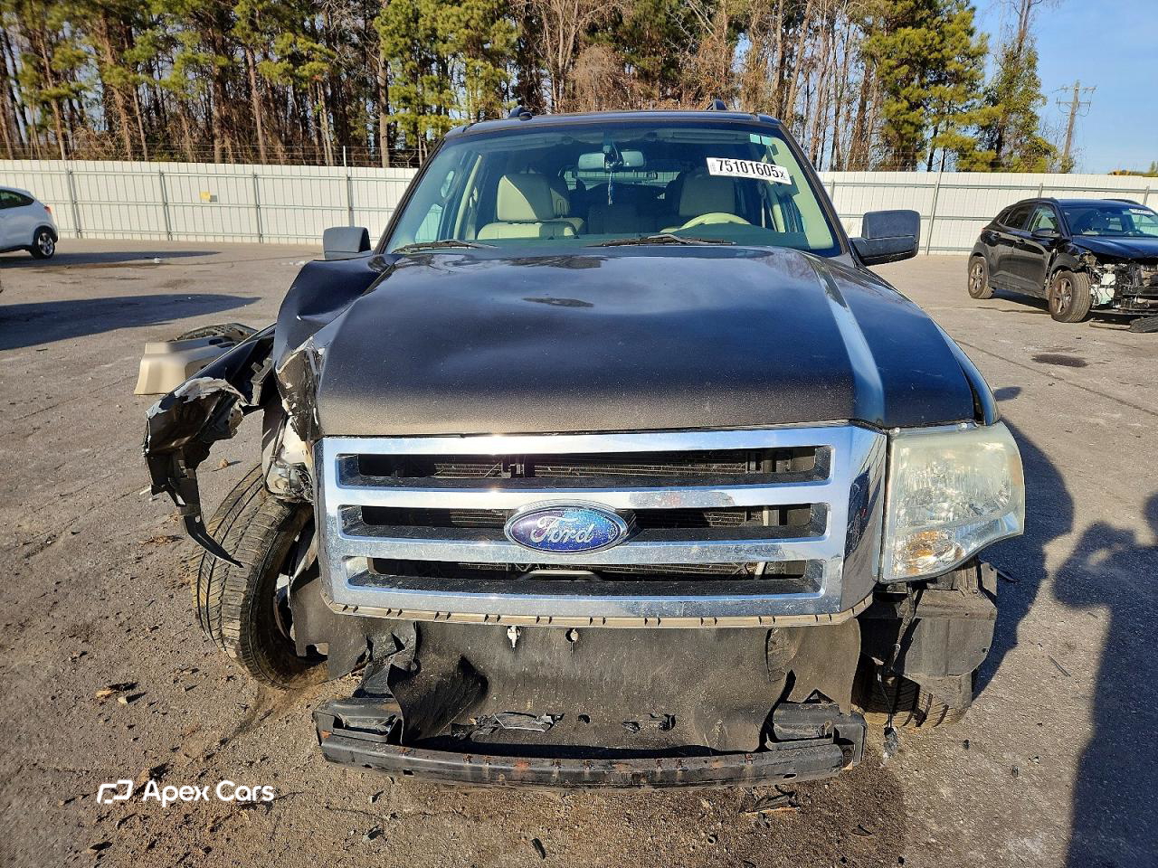 Ford Expedition 2008