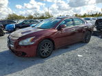 Nissan Maxima 2013