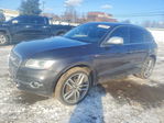 Audi SQ5 2015