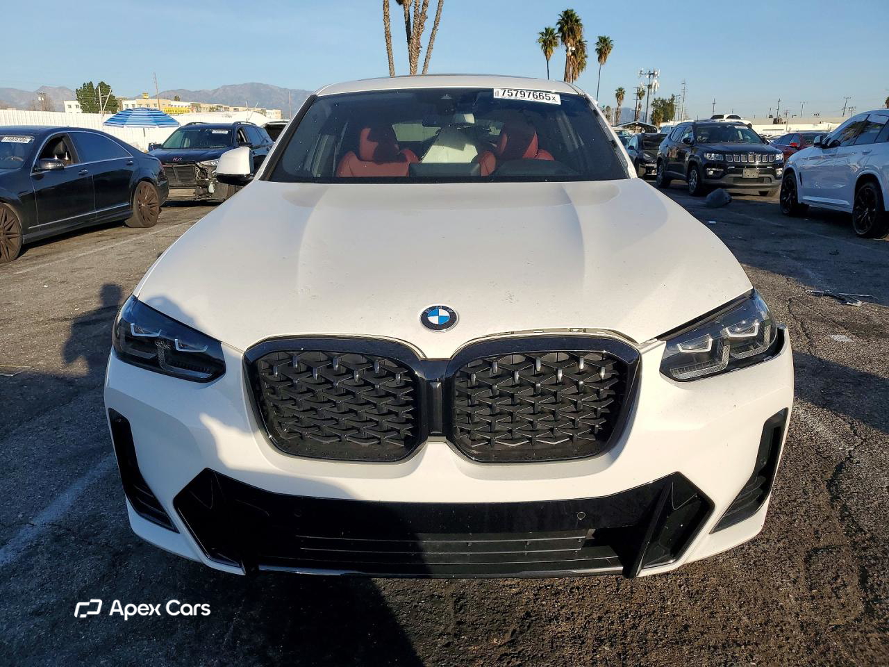 BMW X4 2024