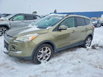 Ford Escape 2013