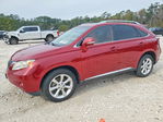 Lexus RX 2010