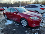 Lexus ES 2014
