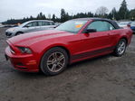 Ford Mustang 2013