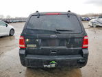 Ford Escape 2011