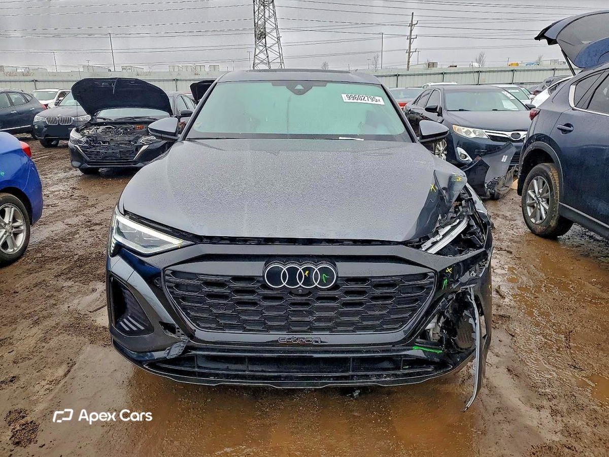 Audi Q8 2024