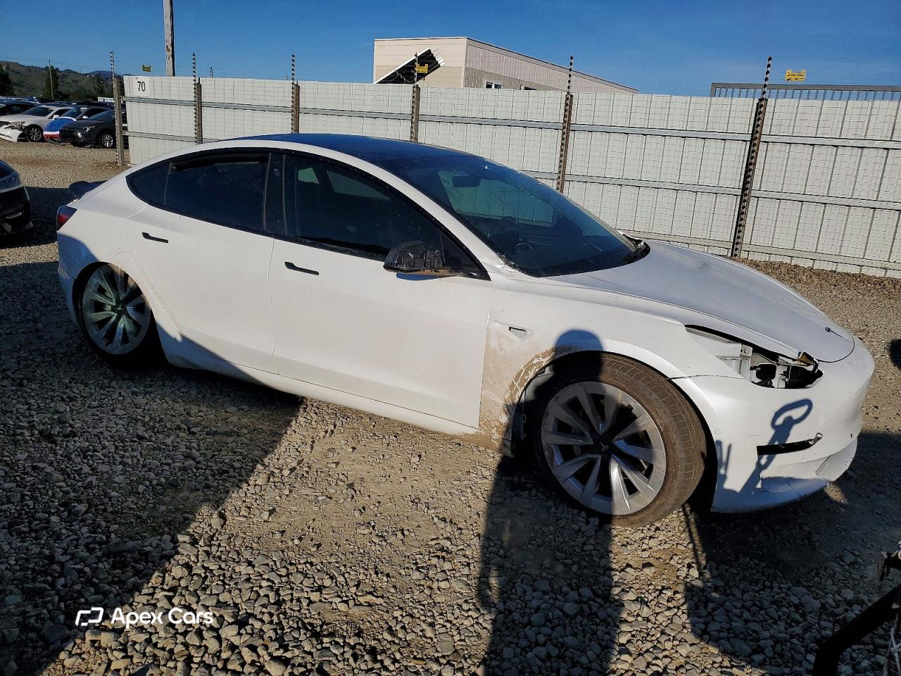 Tesla Model 3 2021