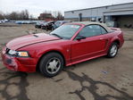 Ford Mustang 2000
