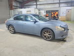 Nissan Maxima 2011