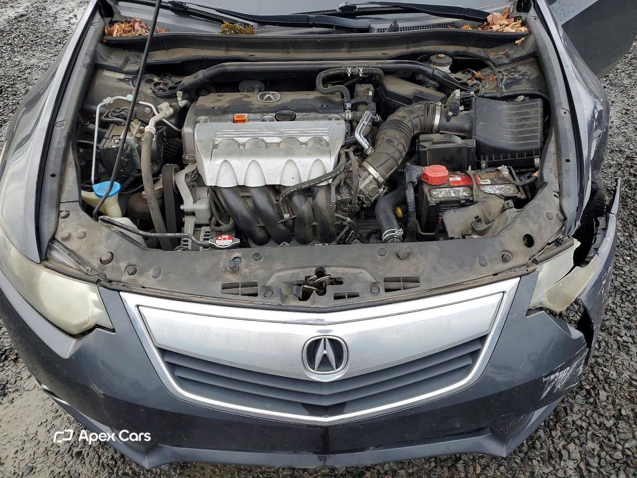 Acura TSX 2013