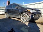 Ford Escape 2013