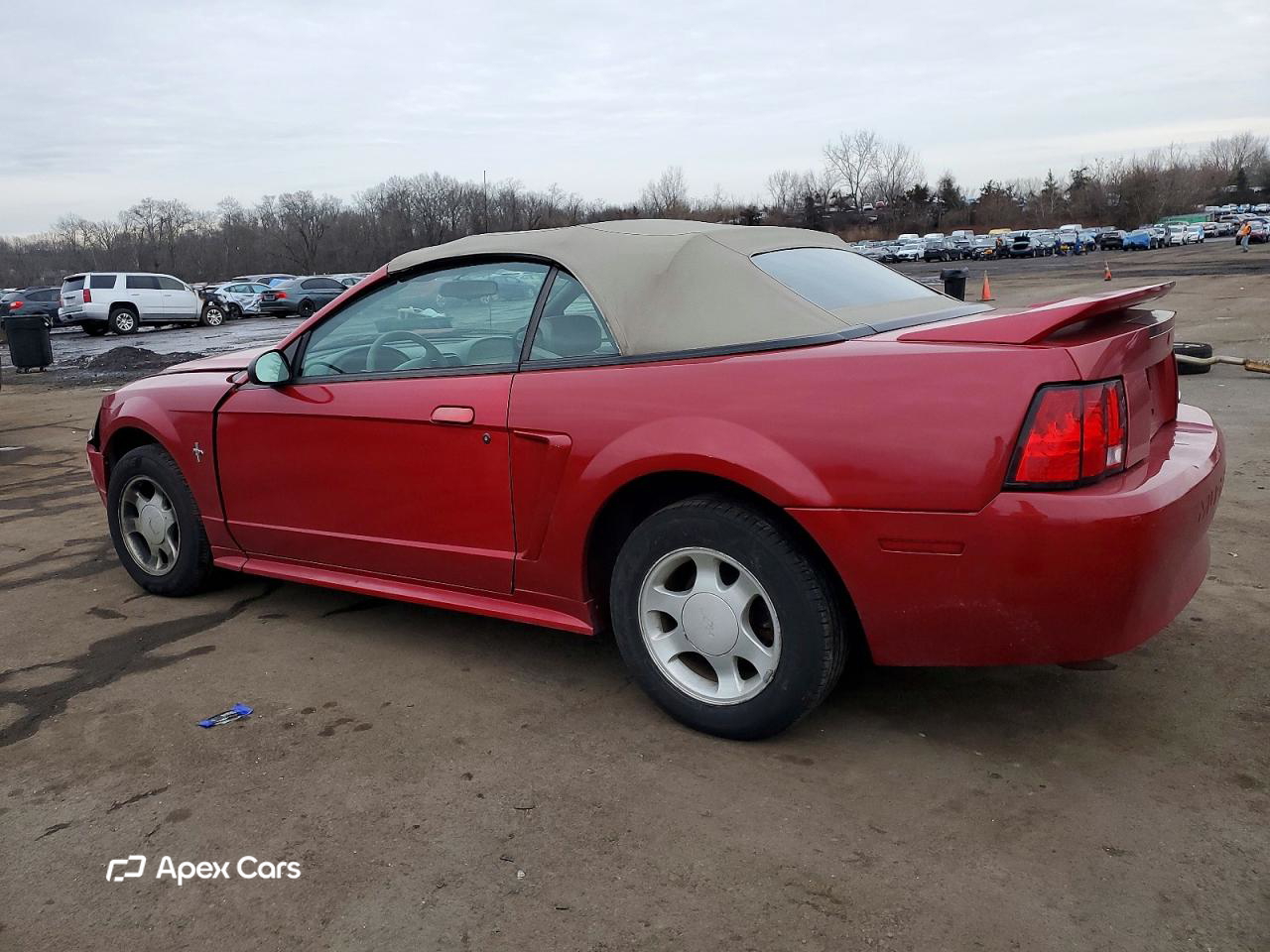 Ford Mustang 2000