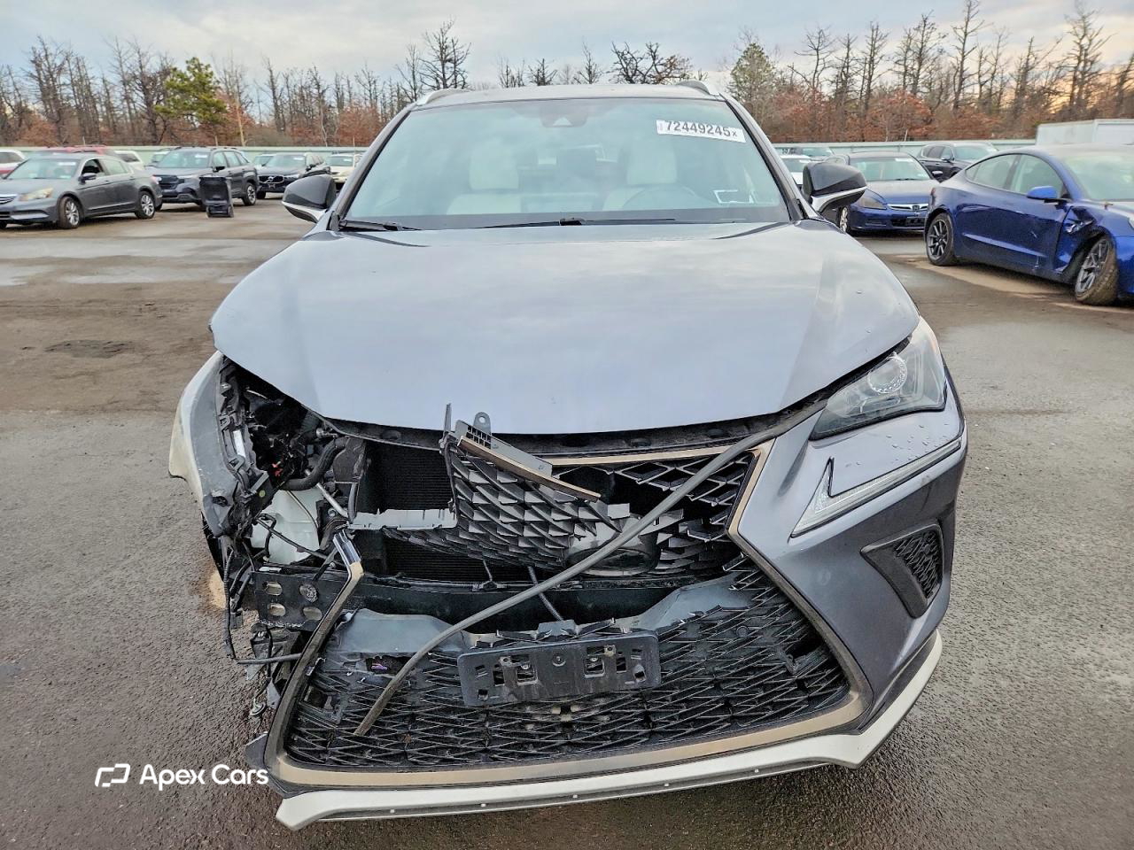 Lexus NX 2021