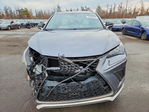 Lexus NX 2021