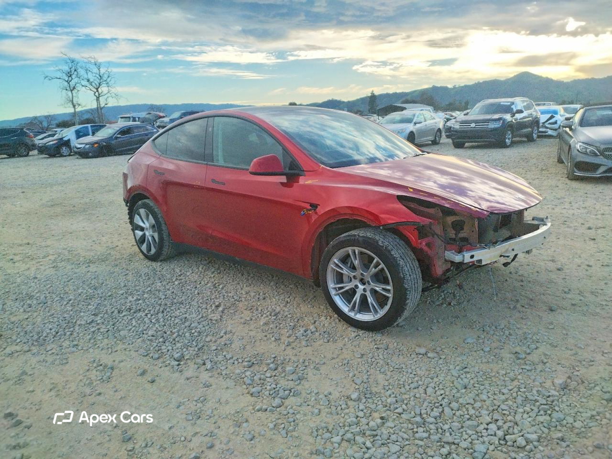 Tesla Model Y 2024