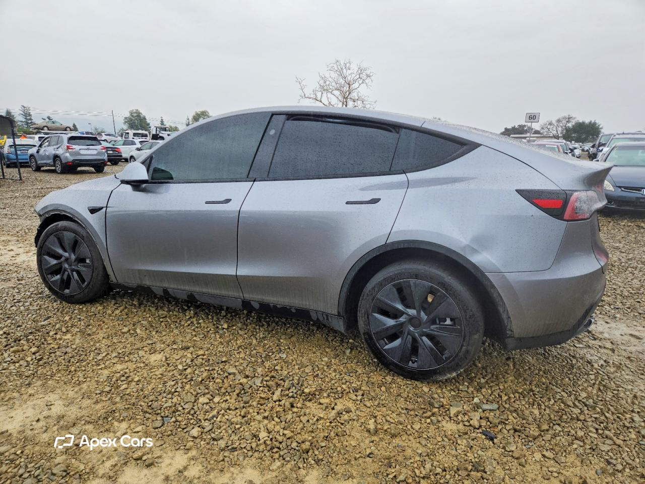 Tesla Model Y 2025