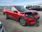 Ford Escape 2021