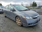 Honda Civic 2010