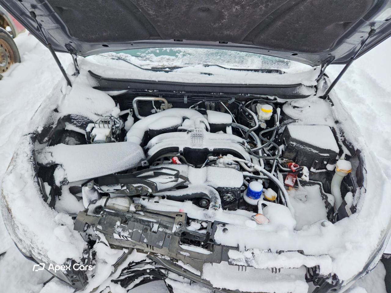 Subaru Outback 2019
