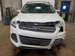 Ford Escape 2013