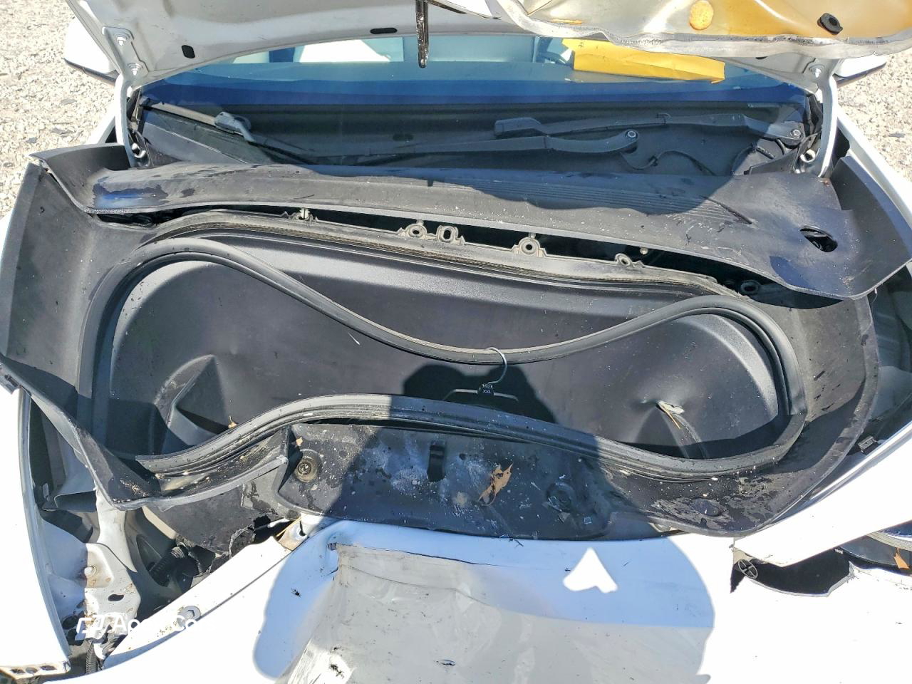 Tesla Model Y 2020