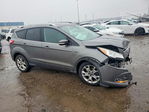 Ford Escape 2014