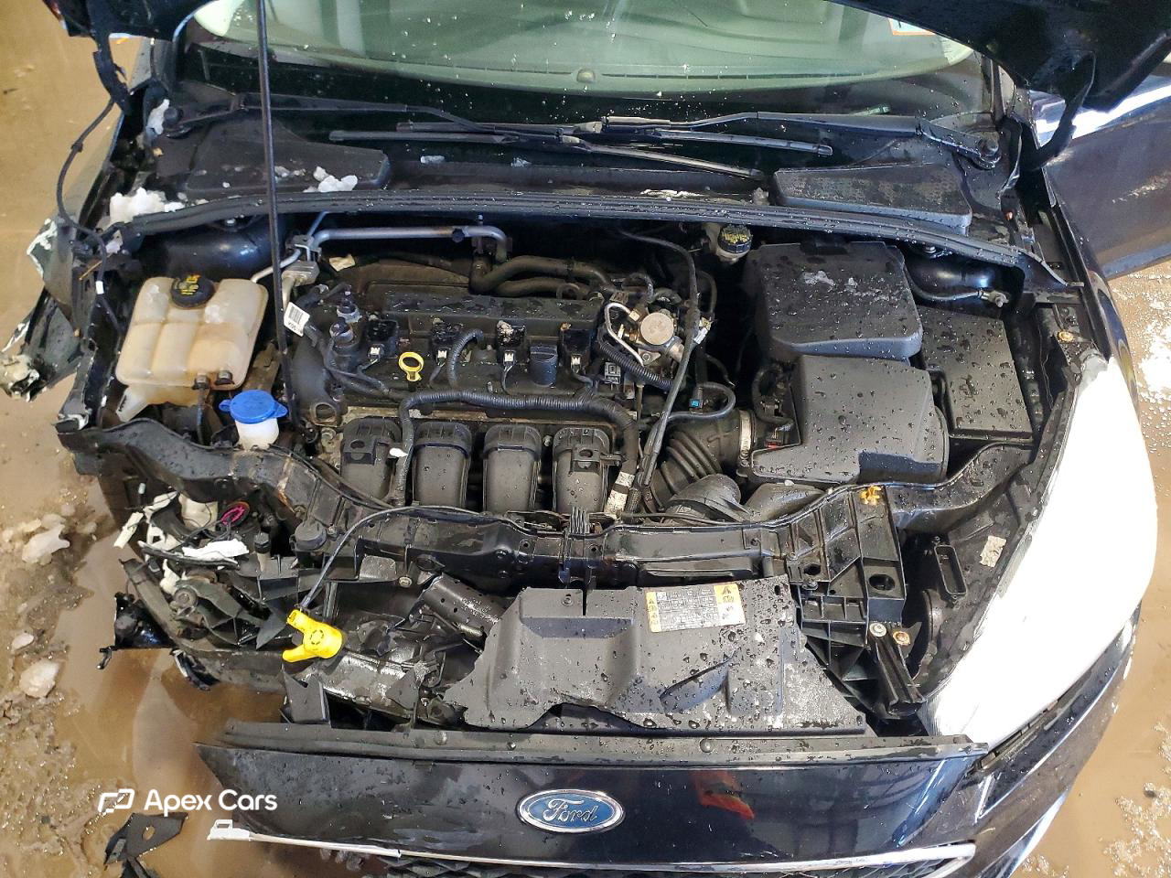Ford Focus 2016
