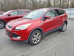 Ford Escape 2013