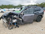 Toyota RAV 4 2025
