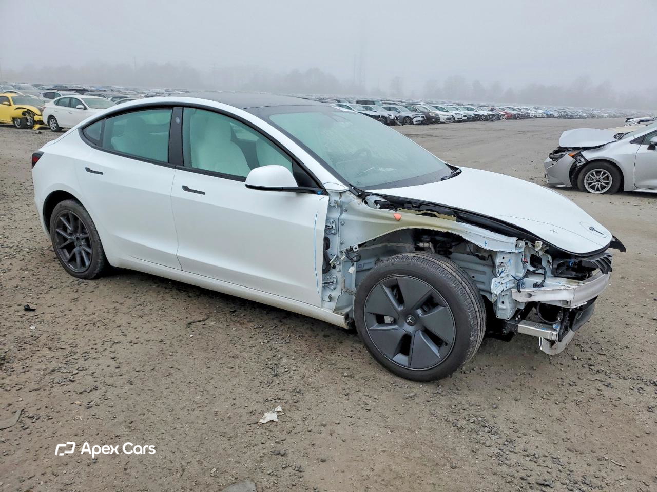 Tesla Model 3 2023