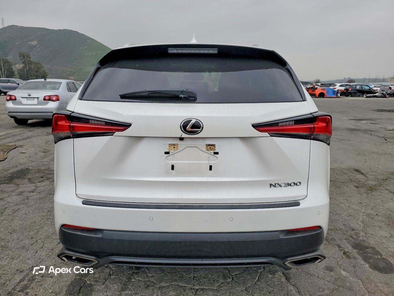 Lexus NX 2020