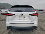 Lexus NX 2020