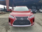 Lexus RX 2020