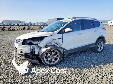Ford Escape 2016 - Image 1 of 14