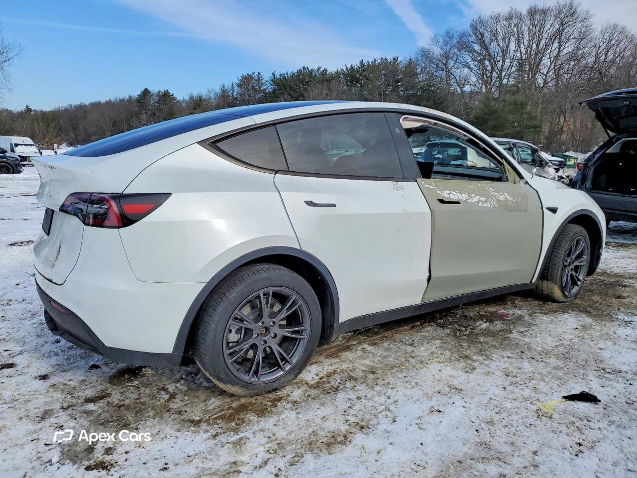 Tesla Model Y 2024