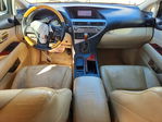 Lexus RX 2010