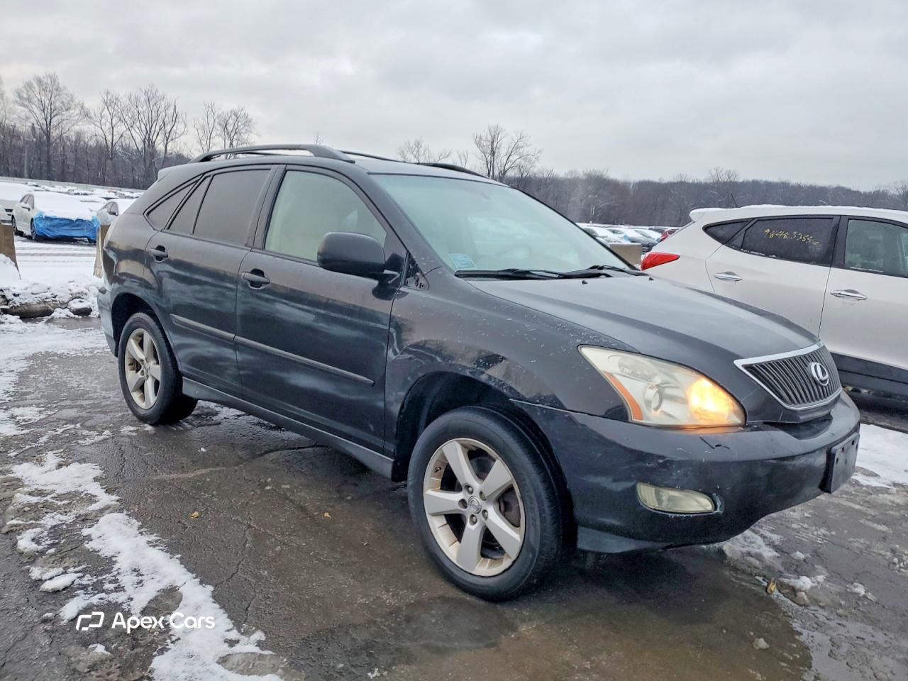 Lexus RX 2007