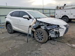 Lexus NX 2020