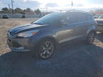 Ford Escape 2014