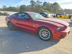 Ford Mustang 2014