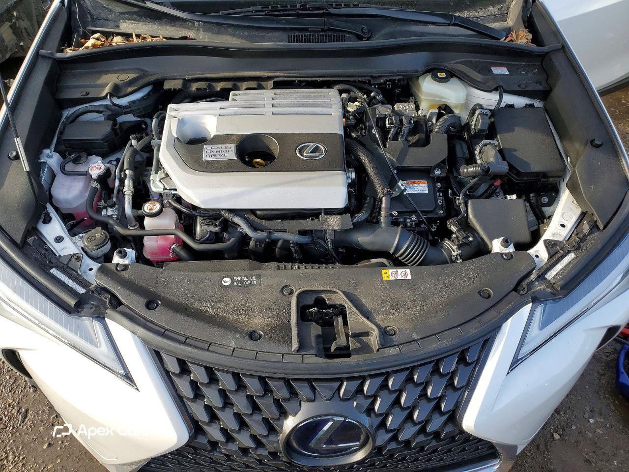 Lexus UX 2020